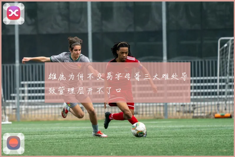 雄鹿为何不交易字母哥三大难处导致管理层开不了口