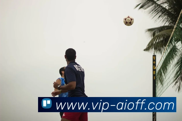 爱体育官方中心平台生态图